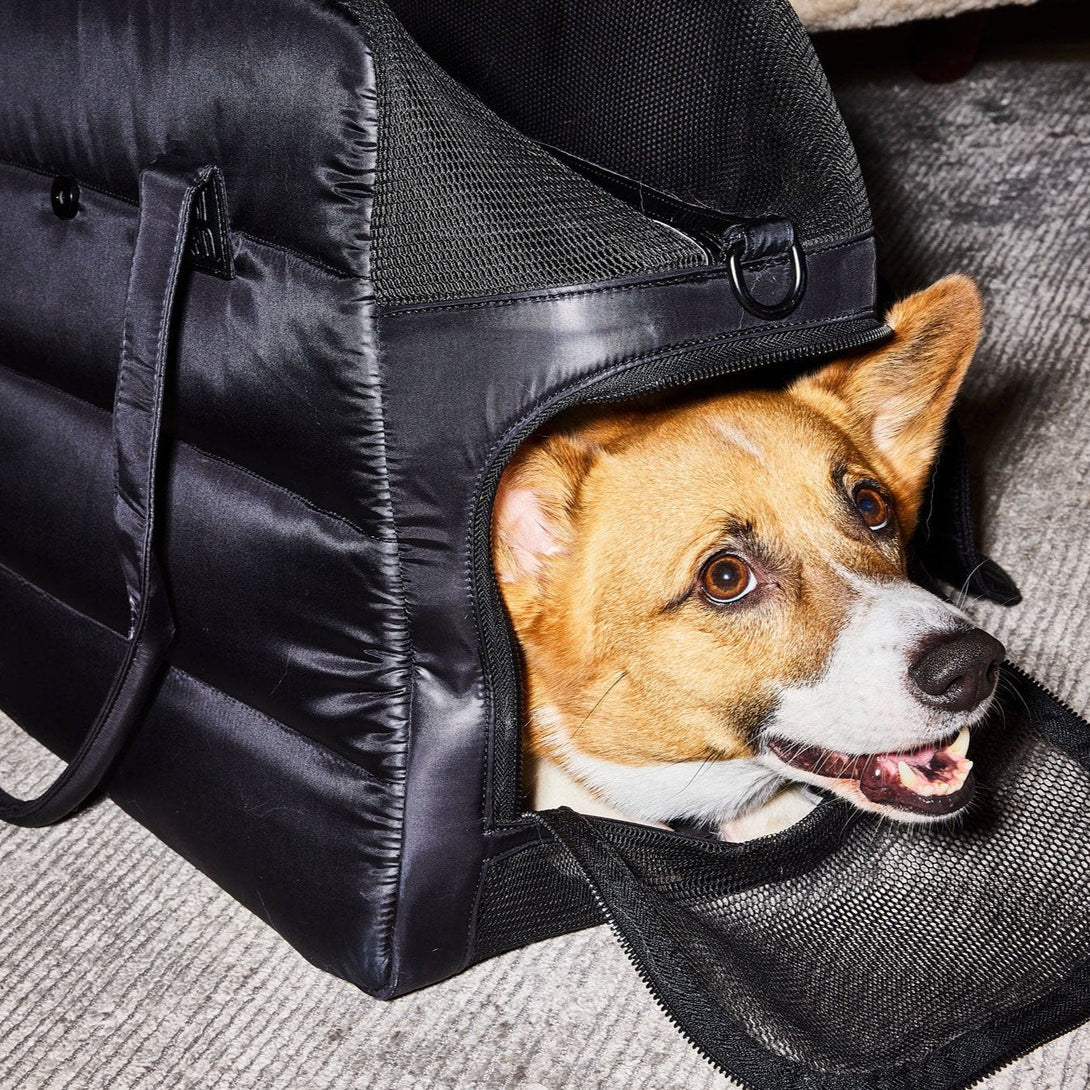 Destination Dog Carrier Tote Travel Bag - Limited Edition. – Pet Carriers by JUST FRED.