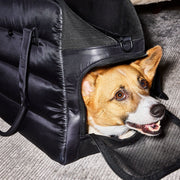 Destination Dog Carrier Tote Travel Bag - Limited Edition. – Pet Carriers by JUST FRED.