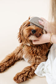 Detailer Dog Grooming Comb – Dog Brushes & Combing Tools by Pupwell