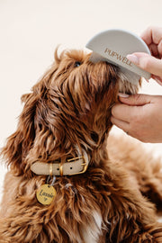 Detailer Dog Grooming Comb – Dog Brushes & Combing Tools by Pupwell
