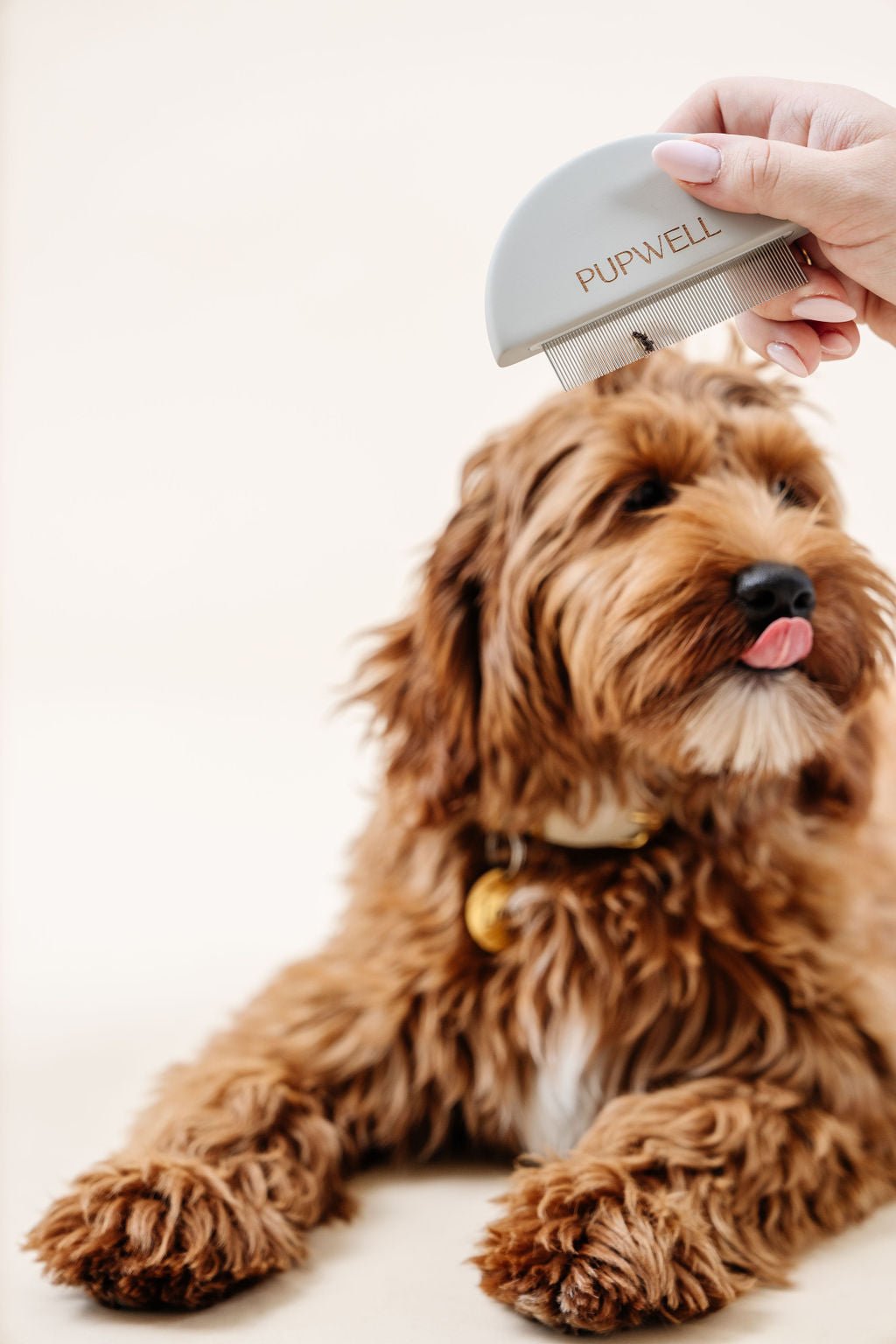 Detailer Dog Grooming Comb – Dog Brushes & Combing Tools by Pupwell