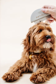 Detailer Dog Grooming Comb – Dog Brushes & Combing Tools by Pupwell