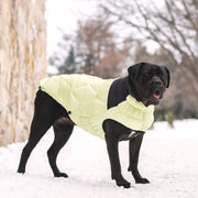 Diamond Dog Puffer Jacket – Jackets & Coats by GF Pet.us