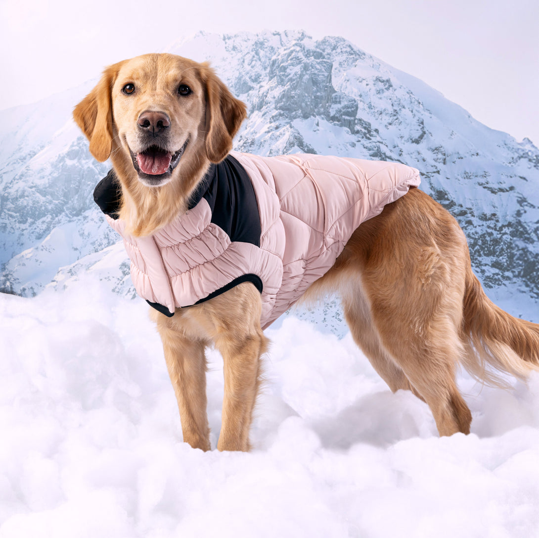 Diamond Dog Puffer Jacket – Jackets & Coats by GF Pet.us