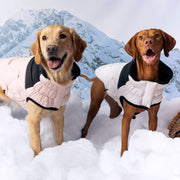 Diamond Dog Puffer Jacket – Jackets & Coats by GF Pet.us