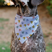 Disney Mickey Mouse Ears Icon Dog Bandana – Bandanas & Neckwear by Buckle - Down
