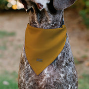 Disney Up Dug Wilderness Explorer Badge Dog Bandana – Bandanas & Neckwear by Buckle - Down
