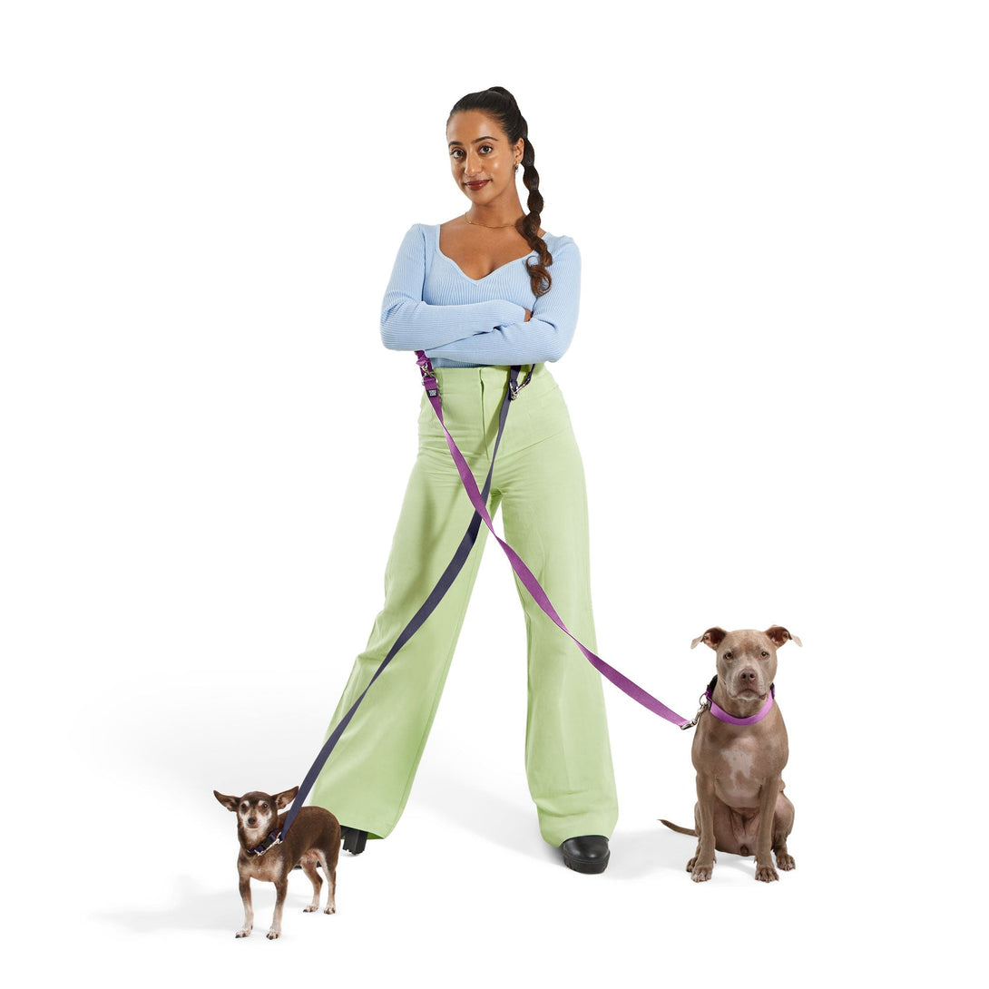 Dog Collar Kit. – Bundles by JUST FRED.