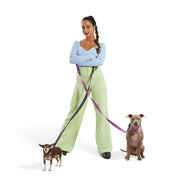 Dog Collar Kit. – Bundles by JUST FRED.