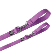 Dog Collar Kit. – Bundles by JUST FRED.