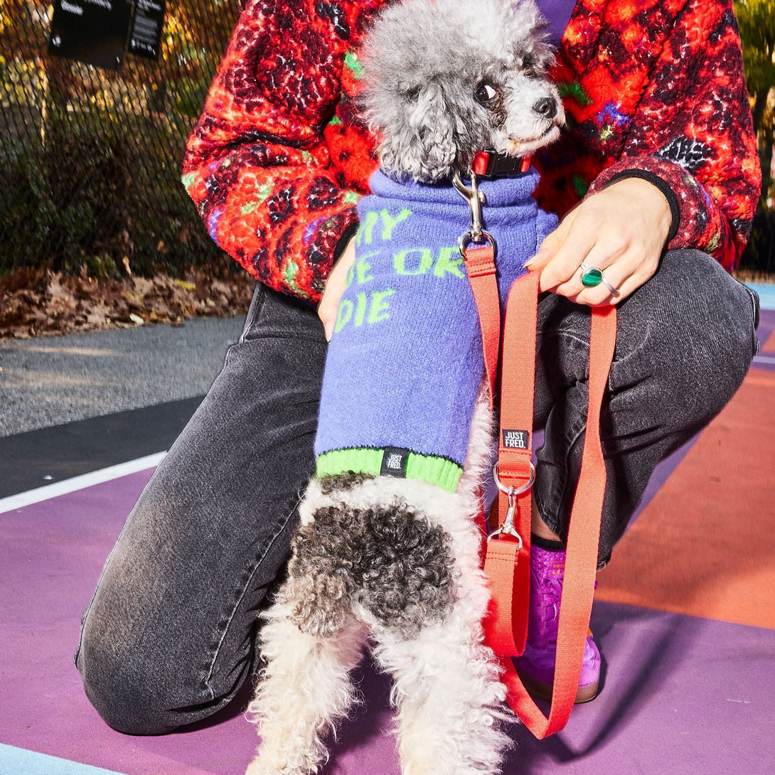 Dog Collar Kit. – Bundles by JUST FRED.