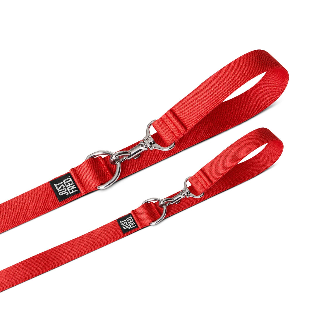 Dog Collar Kit. – Bundles by JUST FRED.