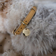Dog Collar - Vegan Leather - Copenhagen – Dog Collars by Nina Woof
