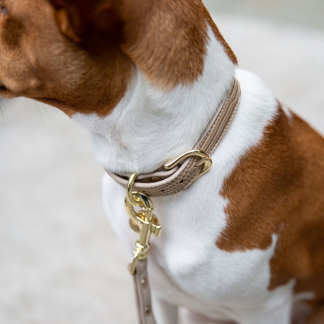 Dog Collar - Vegan Leather - Milan – Dog Collars by Nina Woof