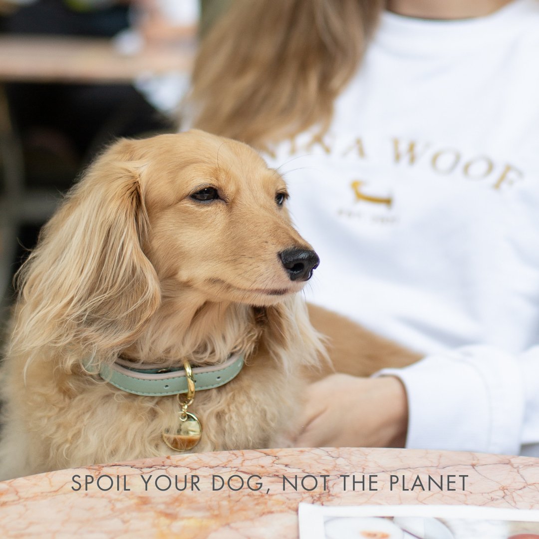Dog Collar - Vegan Leather – Dog Collars by Nina Woof