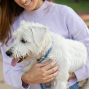 Dog Collar - Vegan Leather – Dog Collars by Nina Woof