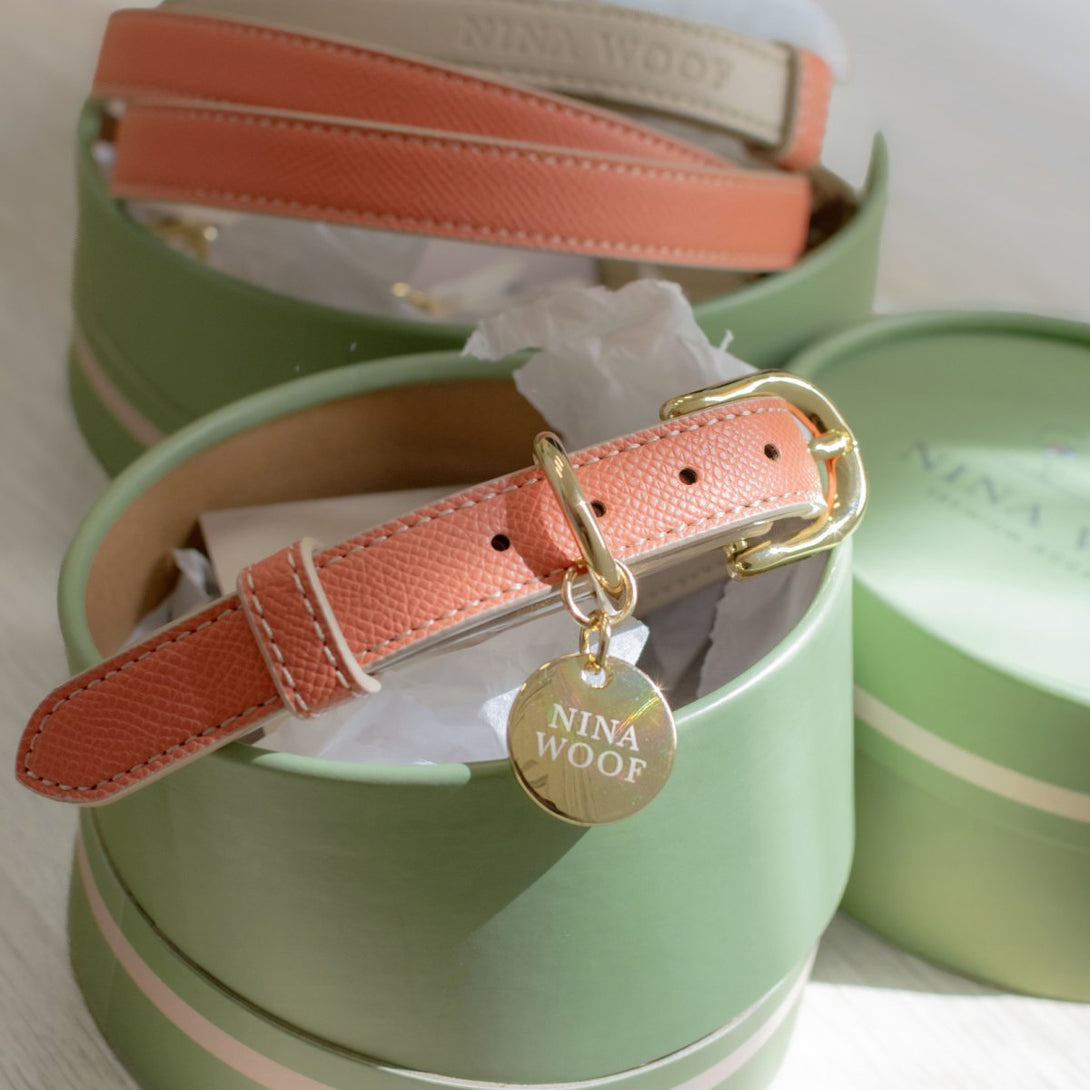 Dog Collar - Vegan Leather - Rio – Dog Collars by Nina Woof