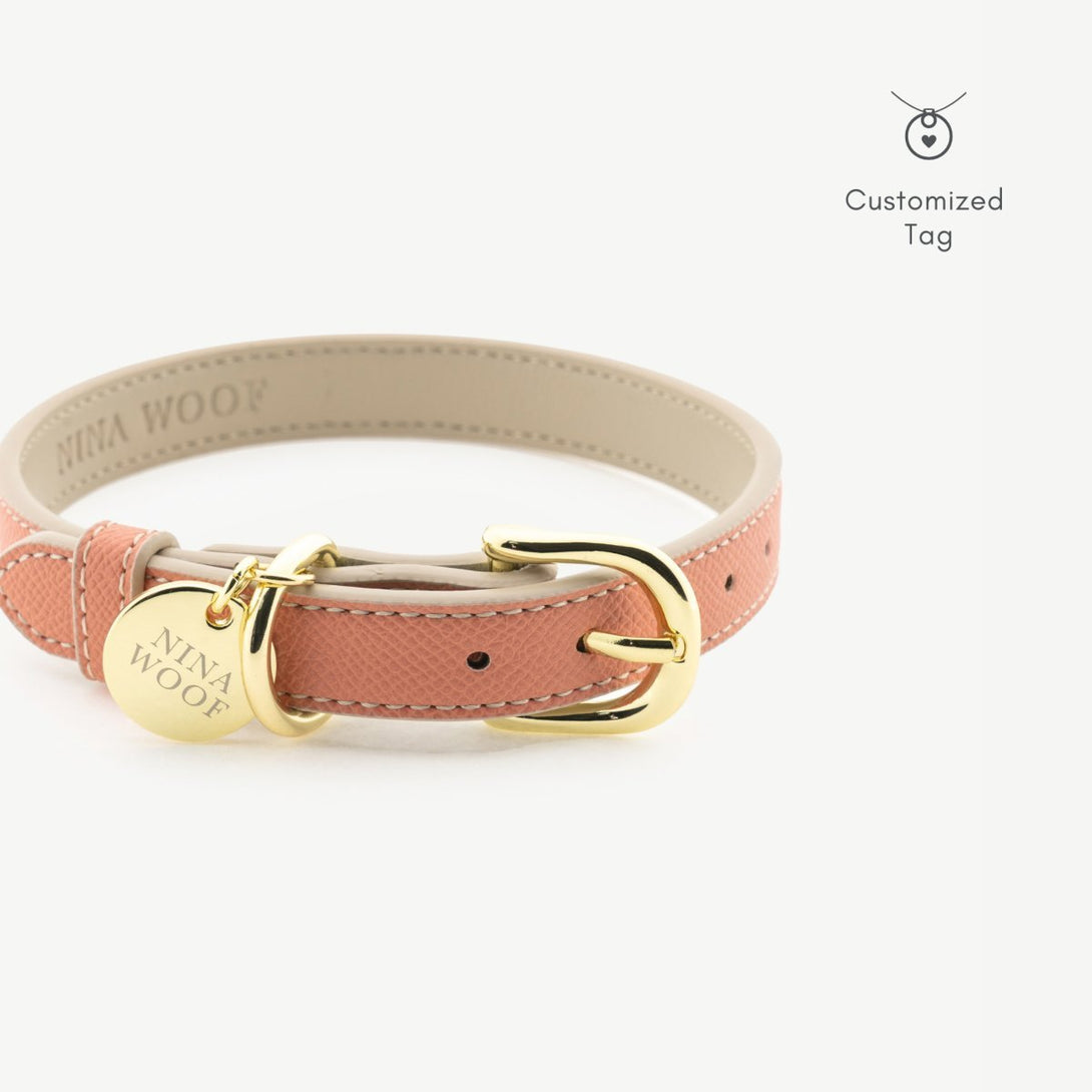 Dog Collar - Vegan Leather - Rio – Dog Collars by Nina Woof