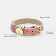 Dog Collar - Vegan Leather - Rio – Dog Collars by Nina Woof