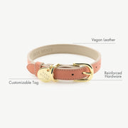 Dog Collar - Vegan Leather - Rio – Dog Collars by Nina Woof