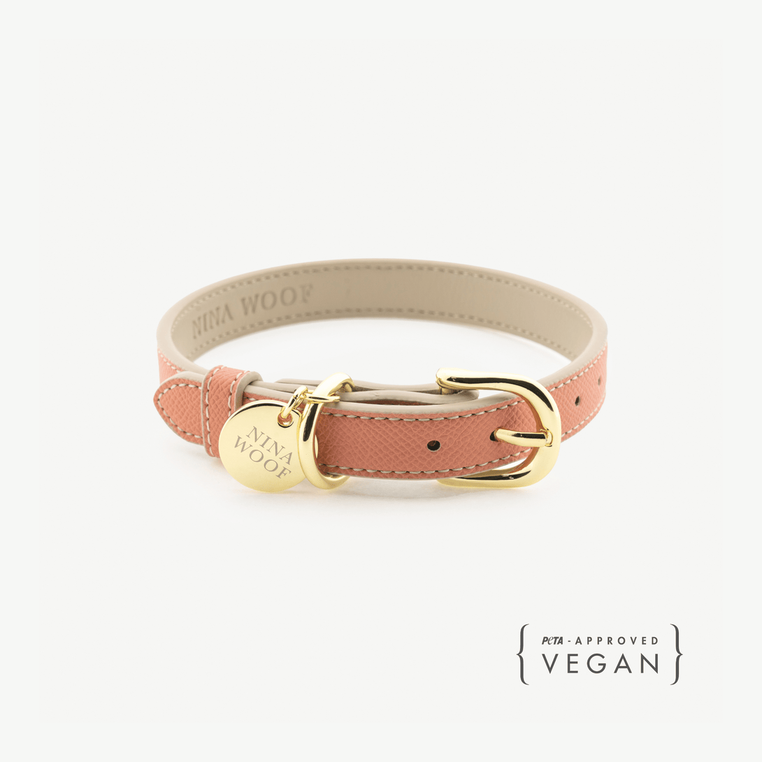 Dog Collar - Vegan Leather - Rio – Dog Collars by Nina Woof