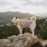 Dog Cotton Smiley Dog Tee – Shirts & Onesies by Sunbean