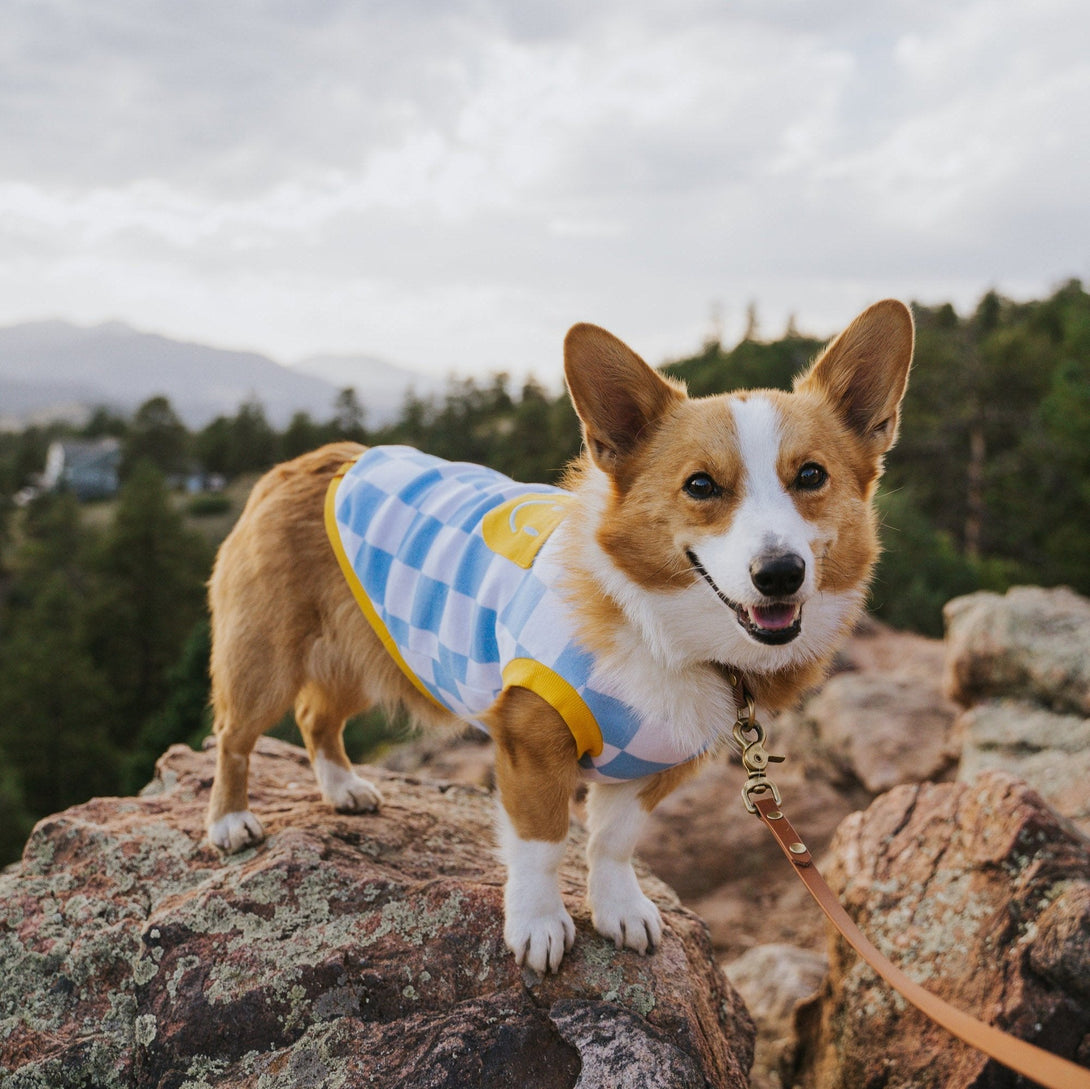 Dog Cotton Smiley Dog Tee – Shirts & Onesies by Sunbean