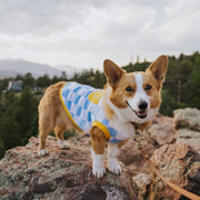 Dog Cotton Smiley Dog Tee – Shirts & Onesies by Sunbean