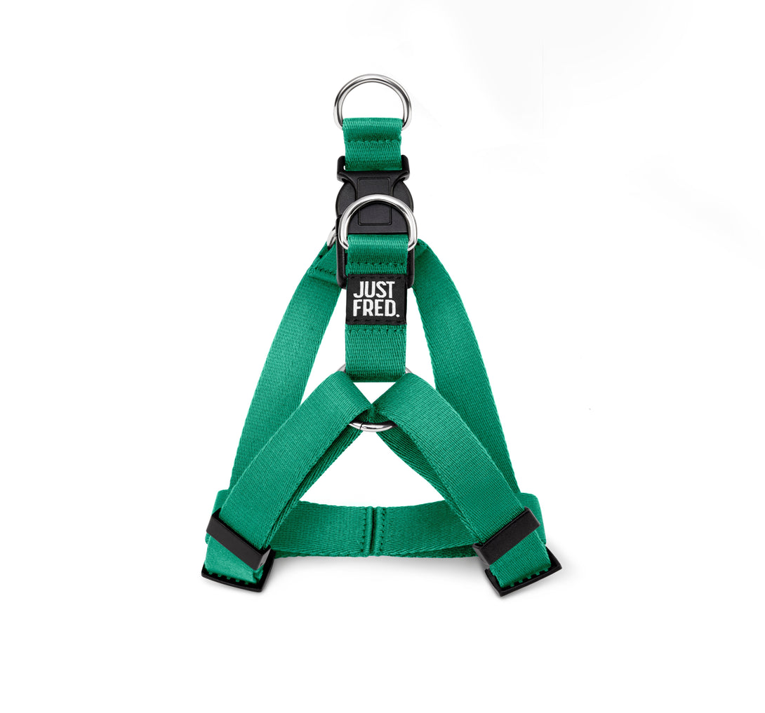 Dog Harness Kit. – Bundles by JUST FRED.