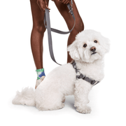 Dog Harness Kit. – Bundles by JUST FRED.