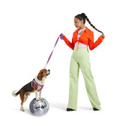 Dog Harness Kit. – Bundles by JUST FRED.