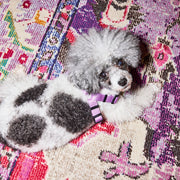 Dog Harness Kit. – Bundles by JUST FRED.