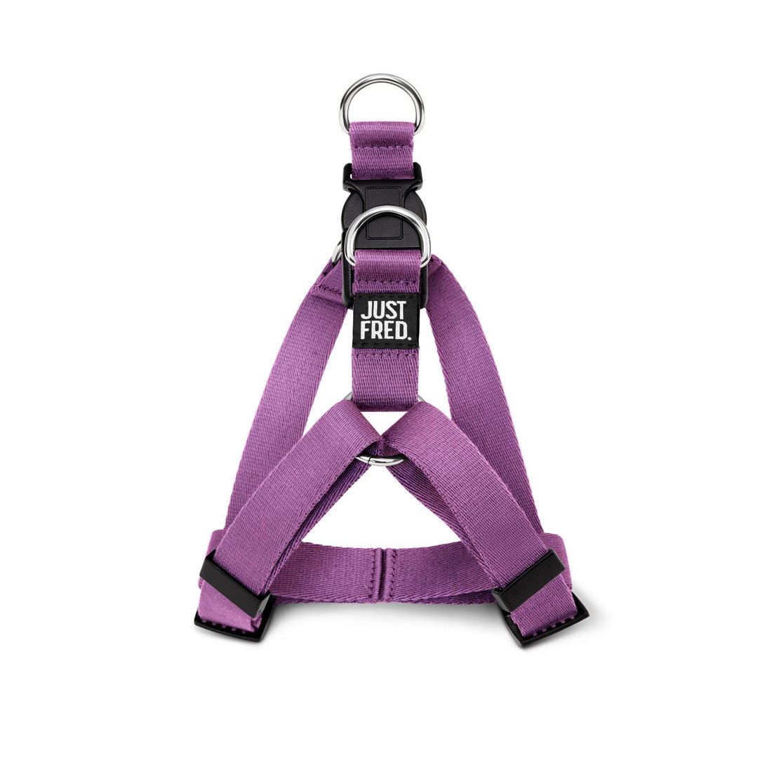 Dog Harness Kit. – Bundles by JUST FRED.