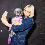 Dog Harness Kit. – Bundles by JUST FRED.