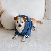 Dog Hoodie - Blue Teddy – Sweaters & Hoodies by Frenchie Bulldog