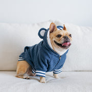 Dog Hoodie - Blue Teddy – Sweaters & Hoodies by Frenchie Bulldog