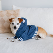 Dog Hoodie - Blue Teddy – Sweaters & Hoodies by Frenchie Bulldog