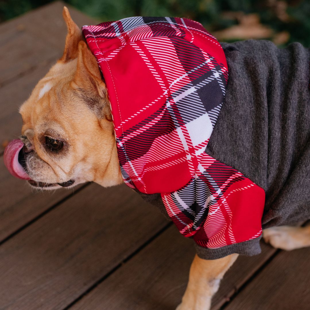 Dog Hoodie - Scarlet Plaid – Sweaters & Hoodies by Frenchie Bulldog