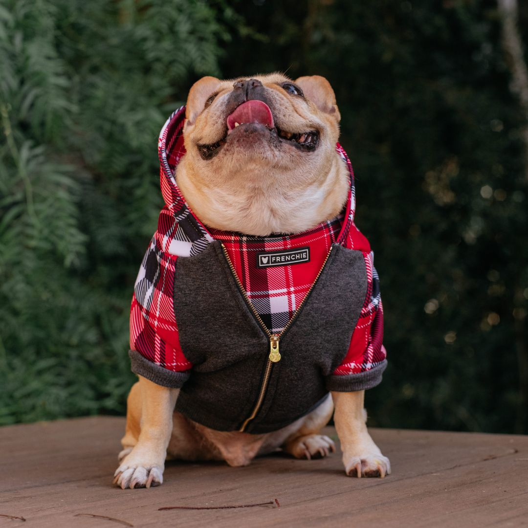 Dog Hoodie - Scarlet Plaid – Sweaters & Hoodies by Frenchie Bulldog