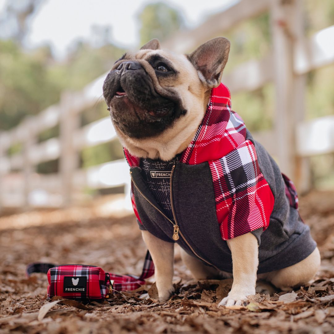 Dog Hoodie - Scarlet Plaid – Sweaters & Hoodies by Frenchie Bulldog