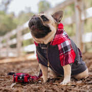 Dog Hoodie - Scarlet Plaid – Sweaters & Hoodies by Frenchie Bulldog
