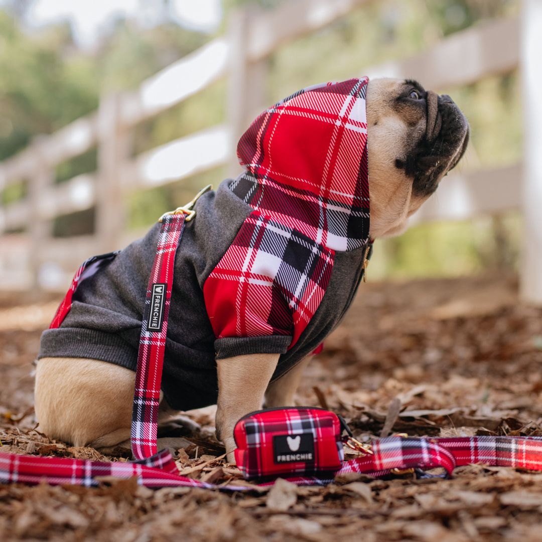 Dog Hoodie - Scarlet Plaid – Sweaters & Hoodies by Frenchie Bulldog