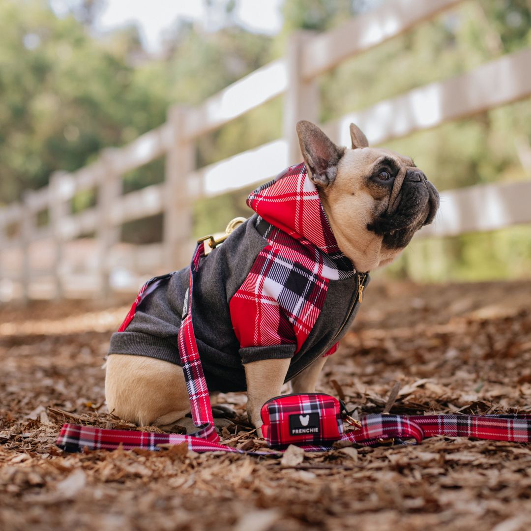 Dog Hoodie - Scarlet Plaid – Sweaters & Hoodies by Frenchie Bulldog