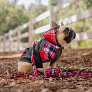 Dog Hoodie - Scarlet Plaid – Sweaters & Hoodies by Frenchie Bulldog