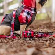 Dog Hoodie - Scarlet Plaid – Sweaters & Hoodies by Frenchie Bulldog