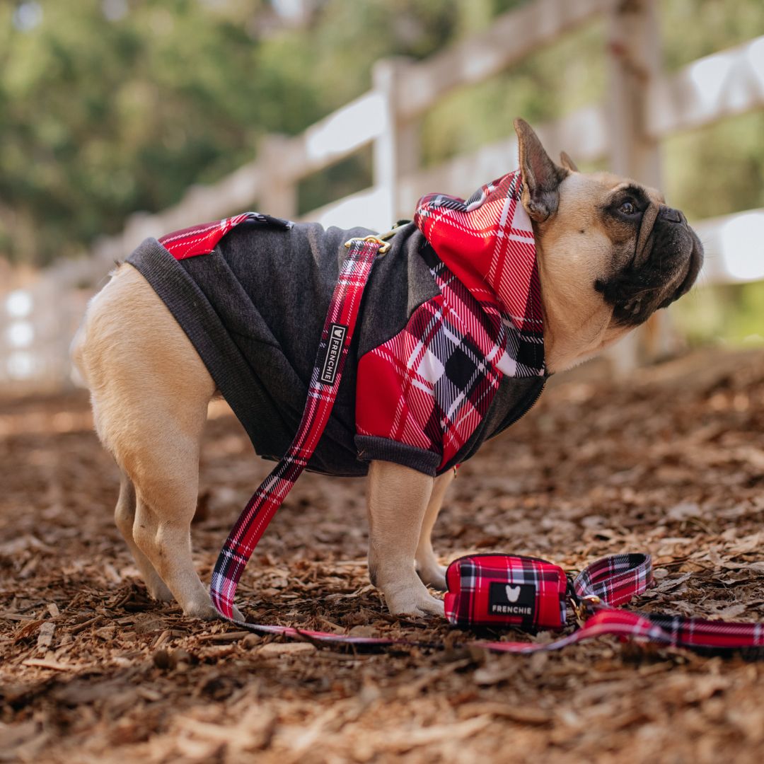 Dog Hoodie - Scarlet Plaid – Sweaters & Hoodies by Frenchie Bulldog