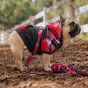 Dog Hoodie - Scarlet Plaid – Sweaters & Hoodies by Frenchie Bulldog