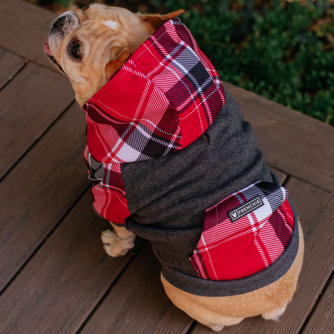 Dog Hoodie - Scarlet Plaid – Sweaters & Hoodies by Frenchie Bulldog