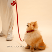 Dog Leash 4ft - Vegan Leather - Copenhagen – Dog Leashes by Nina Woof