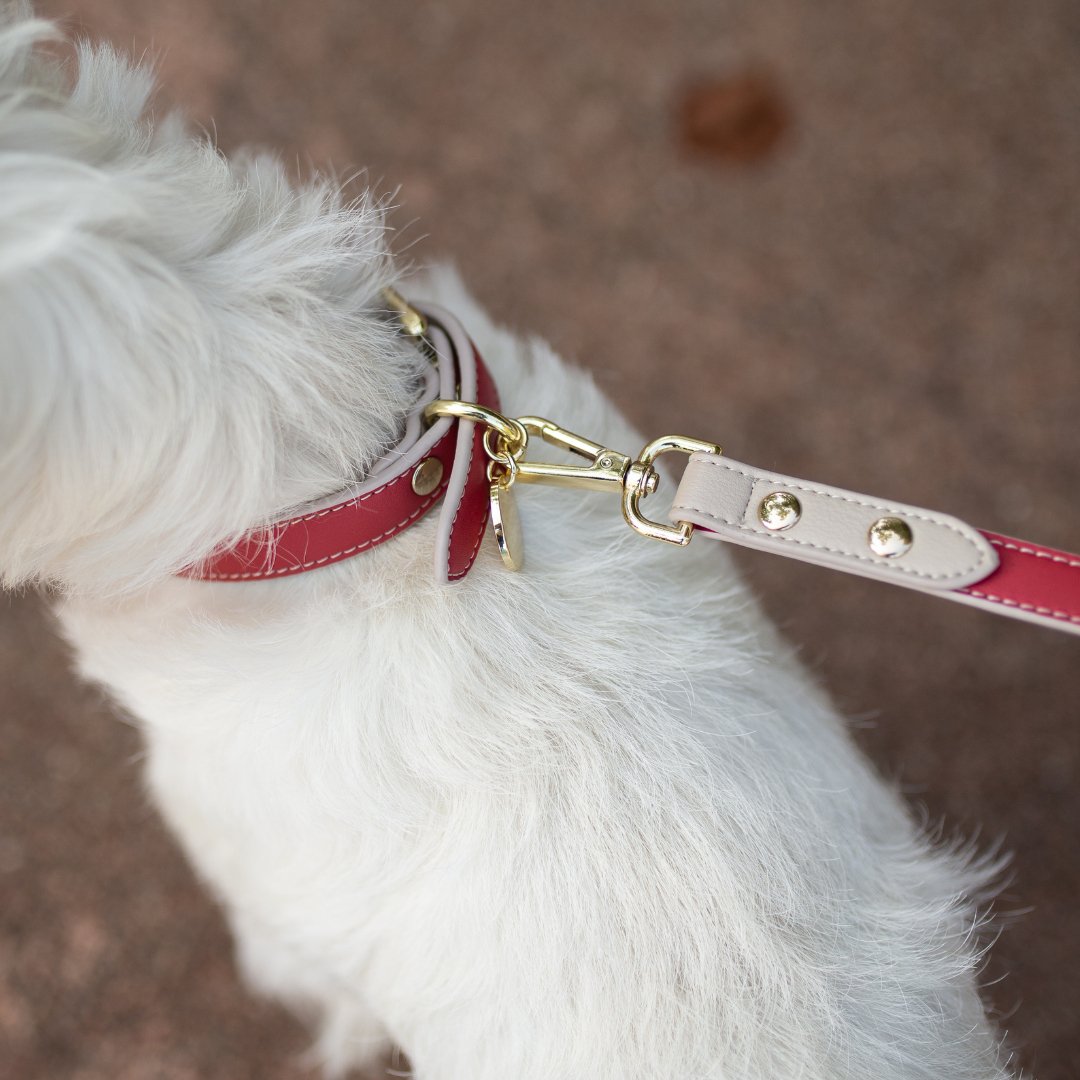 Dog Leash 4ft - Vegan Leather - Copenhagen – Dog Leashes by Nina Woof